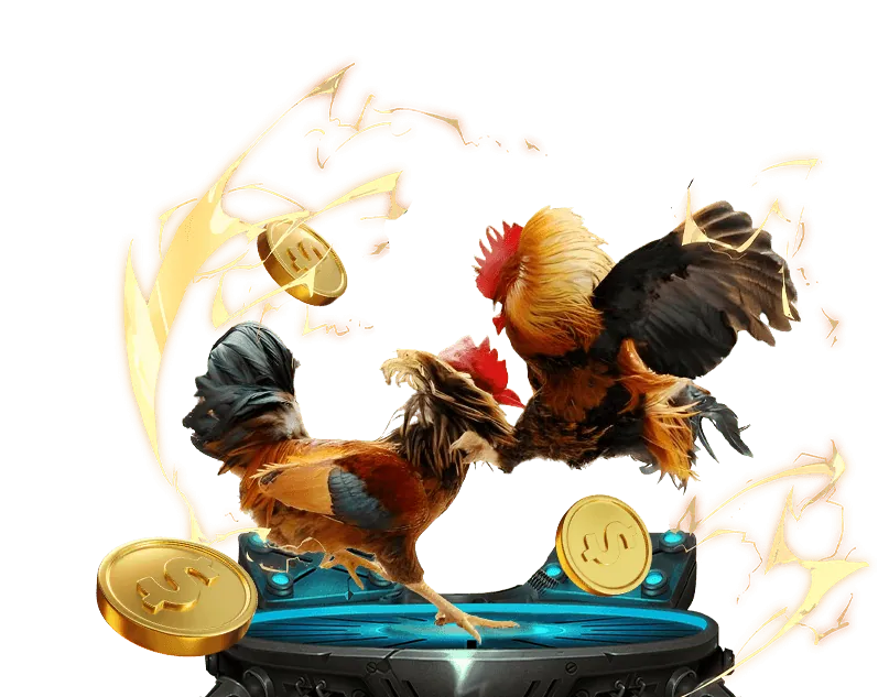 Chuyên gia phân tích gà chiến